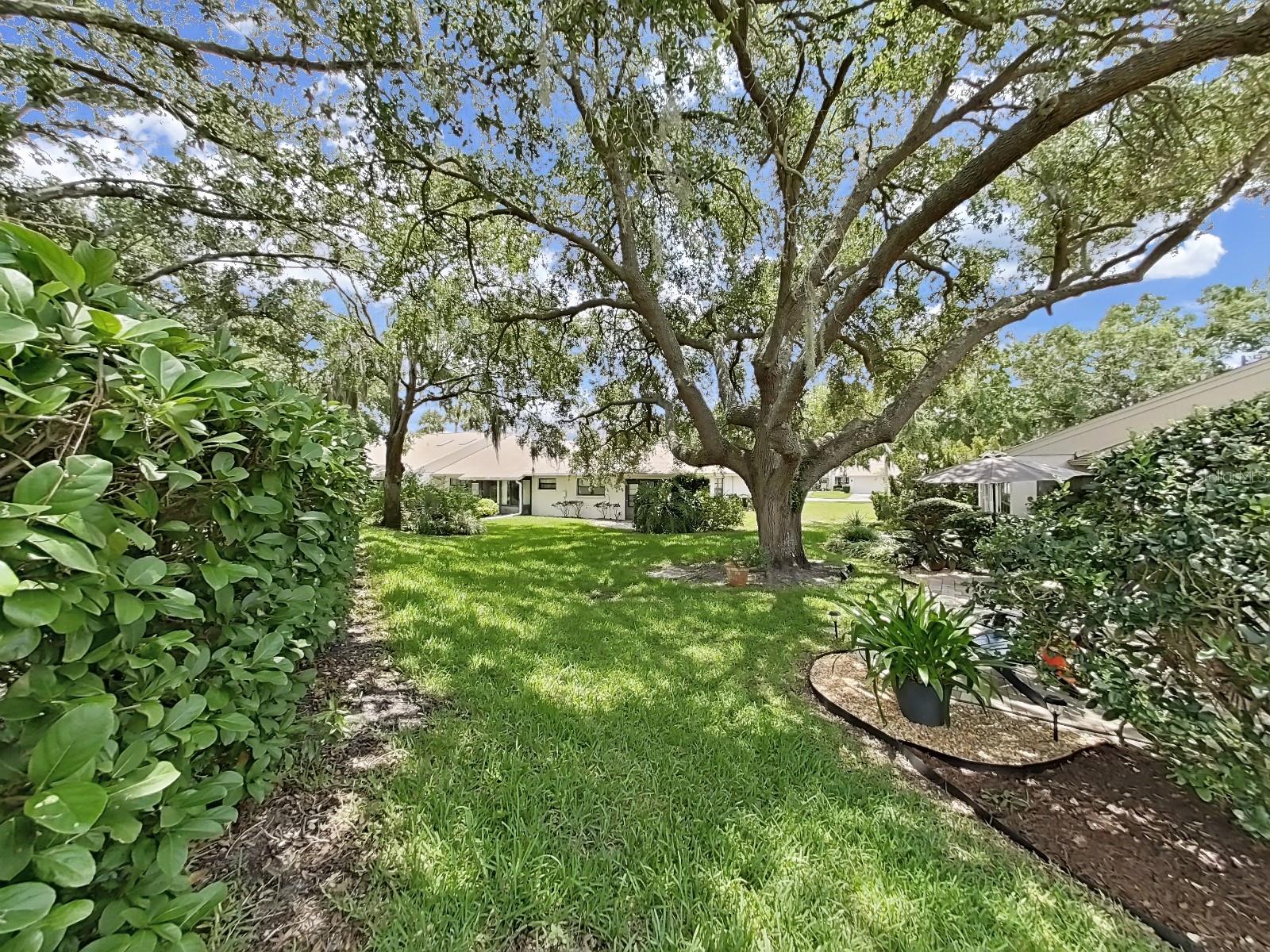 Image 37 of 65 For 3504 Wedge Way