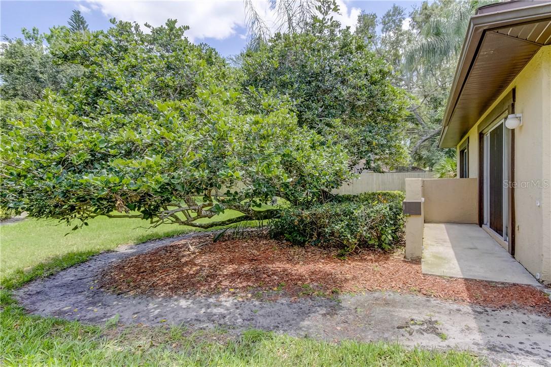 Image 3 of 39 For 2945 Lichen Lane A