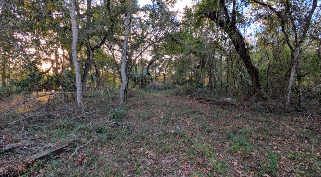 Image 6 of 10 For 7909 Leslie Point