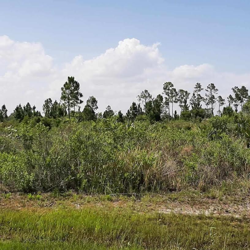 Details for 414 Calendula Drive, INDIAN LAKE ESTATES, FL 33855