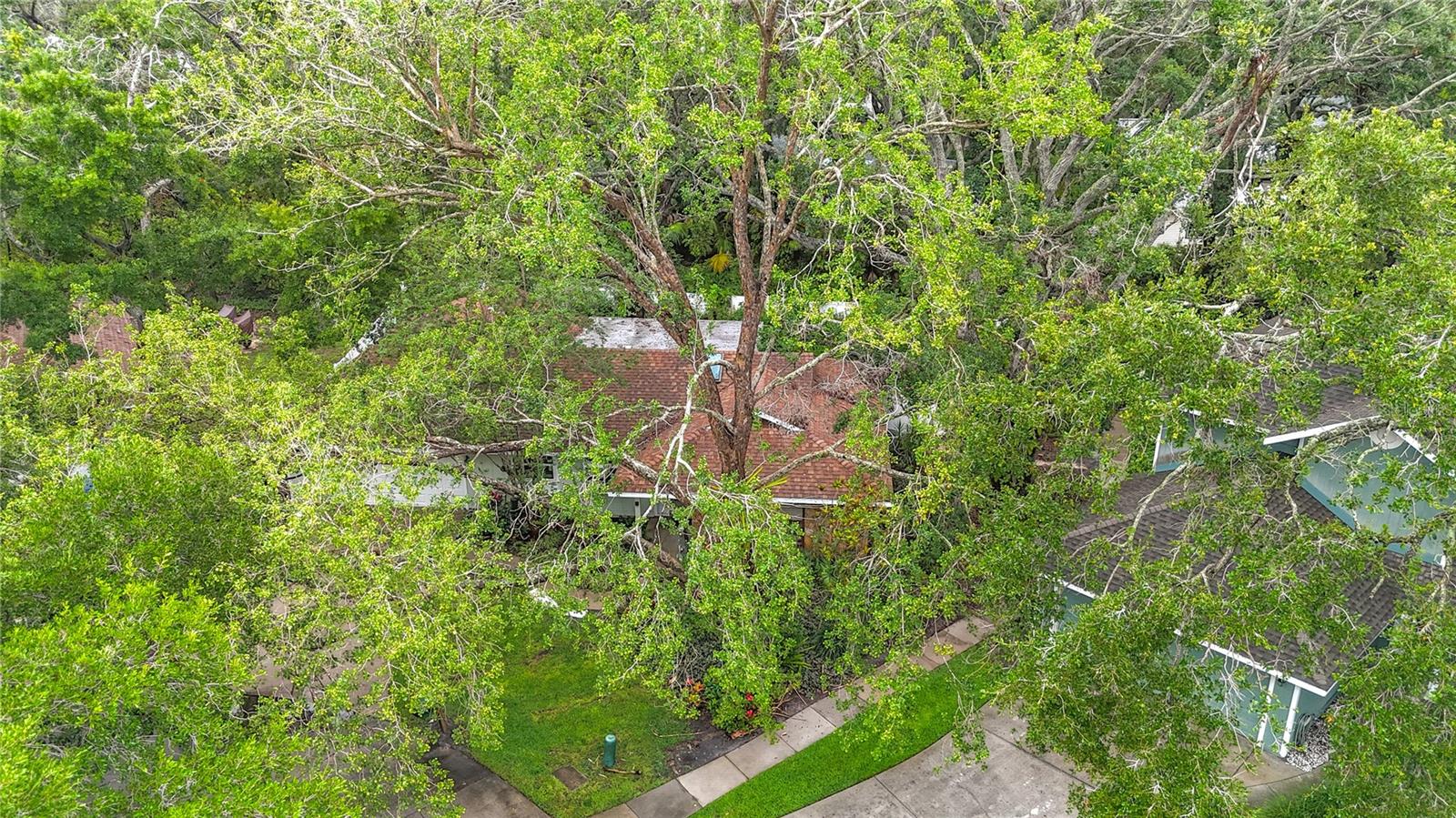 Image 24 of 27 For 6901 Arbor Oaks Court