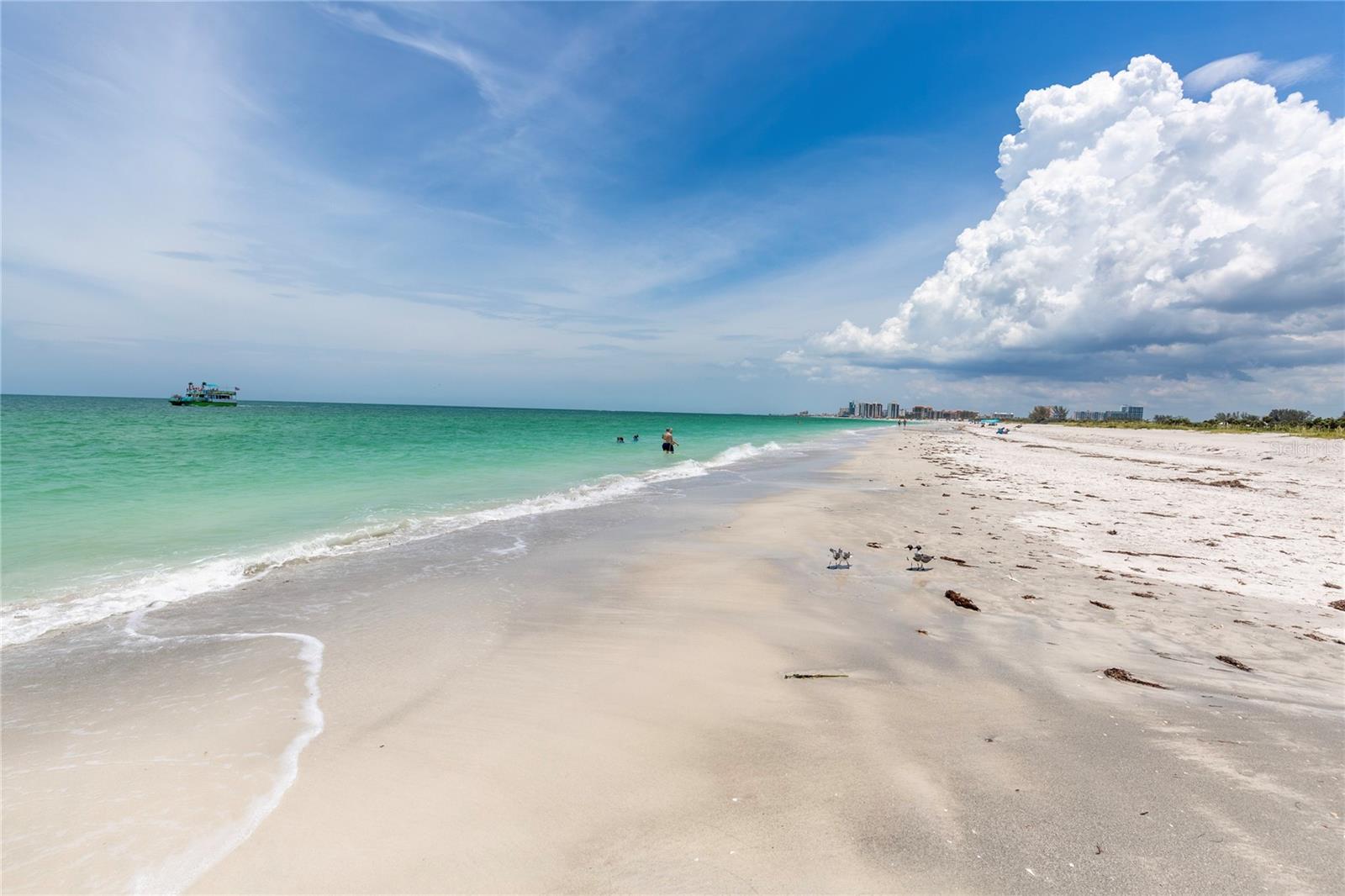 Image 33 of 34 For 1290 Gulf Boulevard 1807