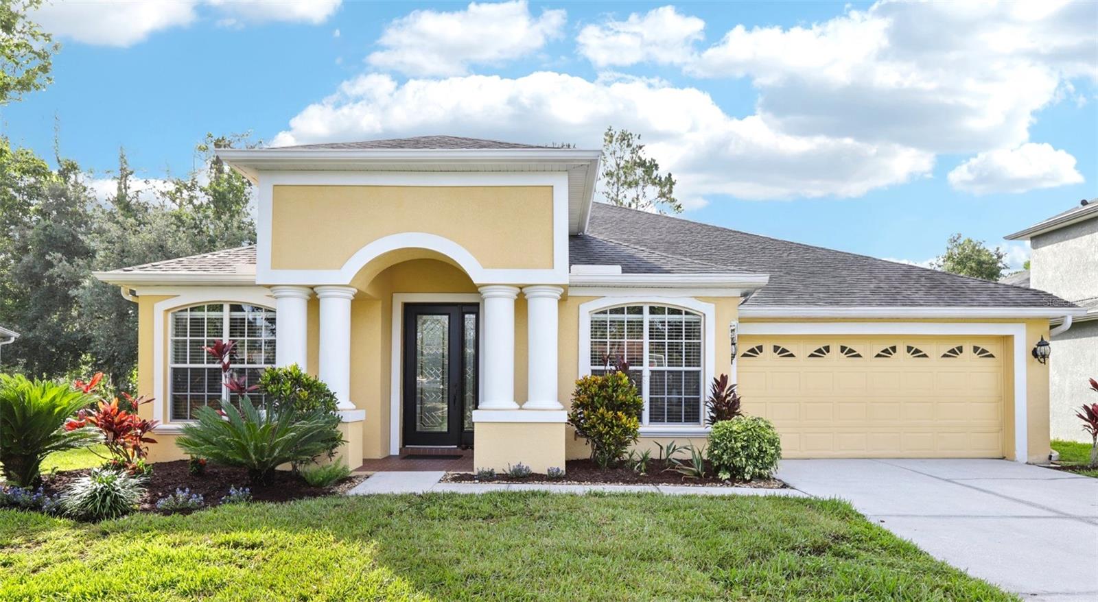 Details for 27209 Firebush Drive, WESLEY CHAPEL, FL 33544