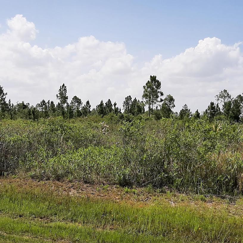 Details for 412 Calendula Drive, INDIAN LAKE ESTATES, FL 33855
