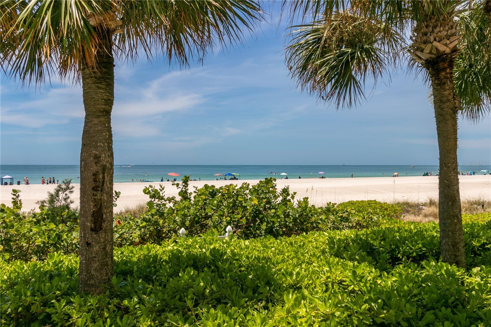 Listing photo id 41 for 1380 Gulf Boulevard 805