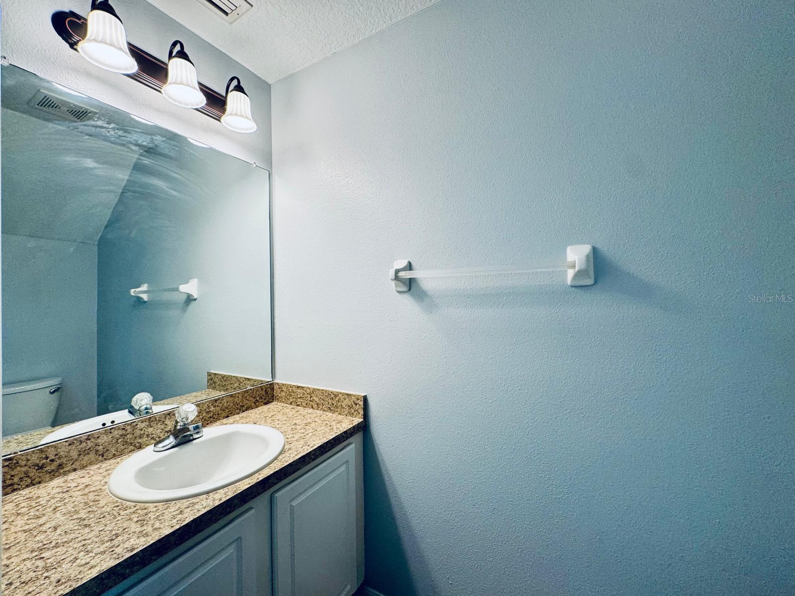 Image 16 of 22 For 15833 Fishhawk Falls Drive