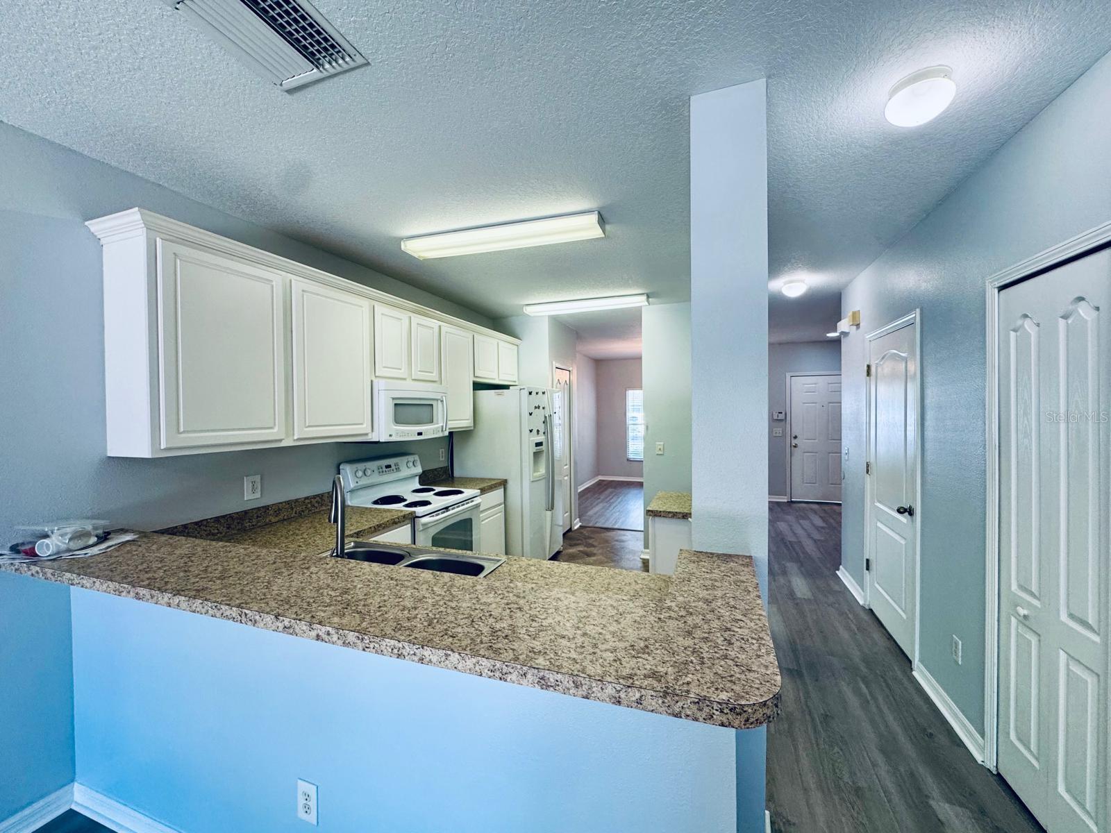 Image 4 of 22 For 15833 Fishhawk Falls Drive