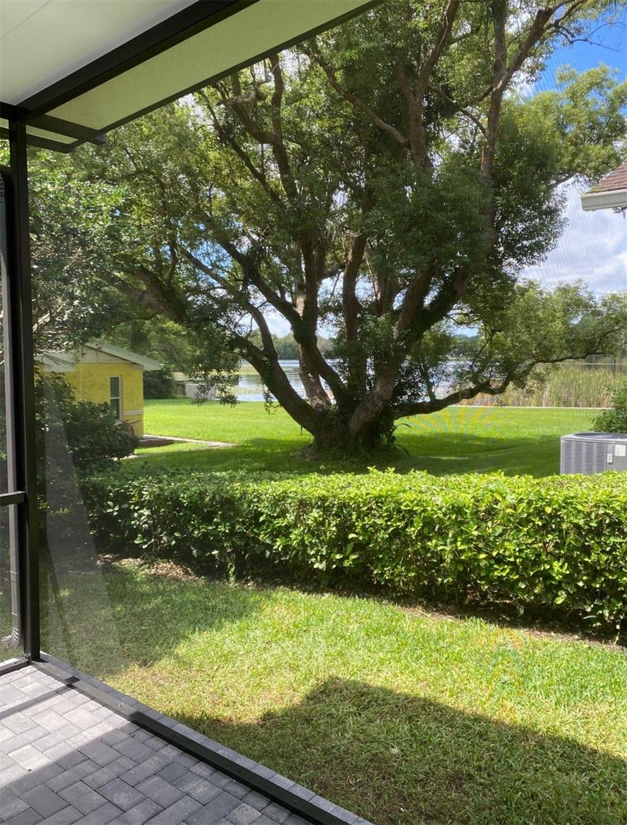 Listing photo id 71 for 10310 Carroll Cove Place