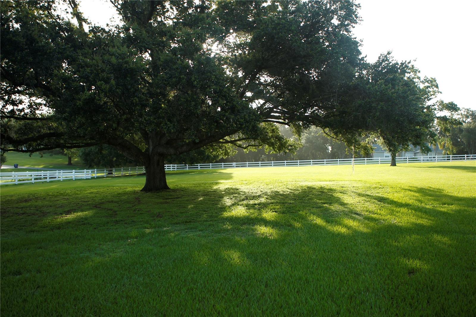 Details for Sky Ridge Circle, DADE CITY, FL 33525