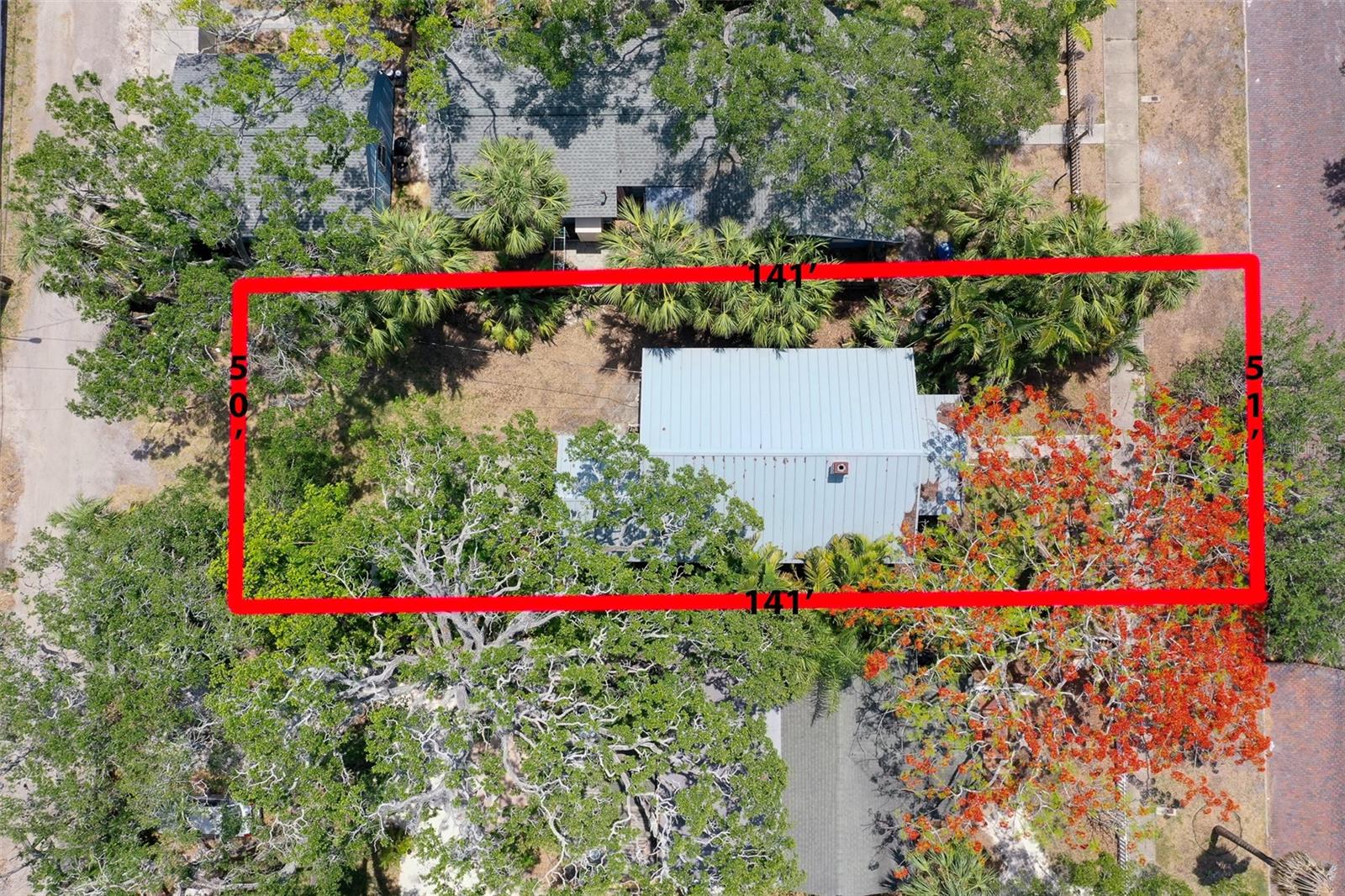 Image 2 of 32 For 317 19th Avenue S