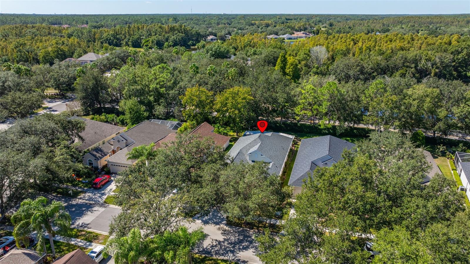 Image 39 of 50 For 17910 Timber View Street