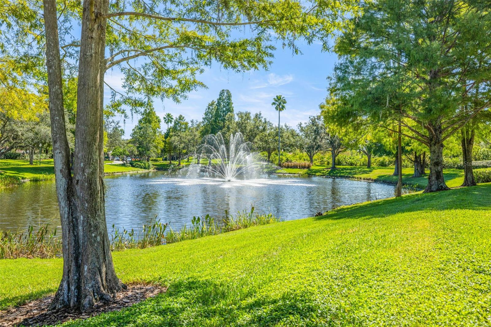 Image 49 of 50 For 17910 Timber View Street