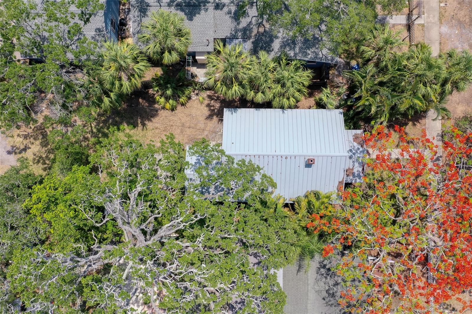 Listing photo id 27 for 317 19th Avenue S