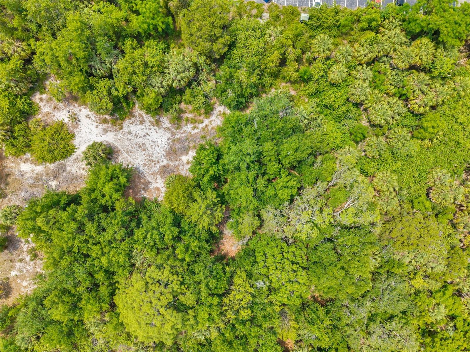 Listing photo id 54 for Lakeshore Boulevard