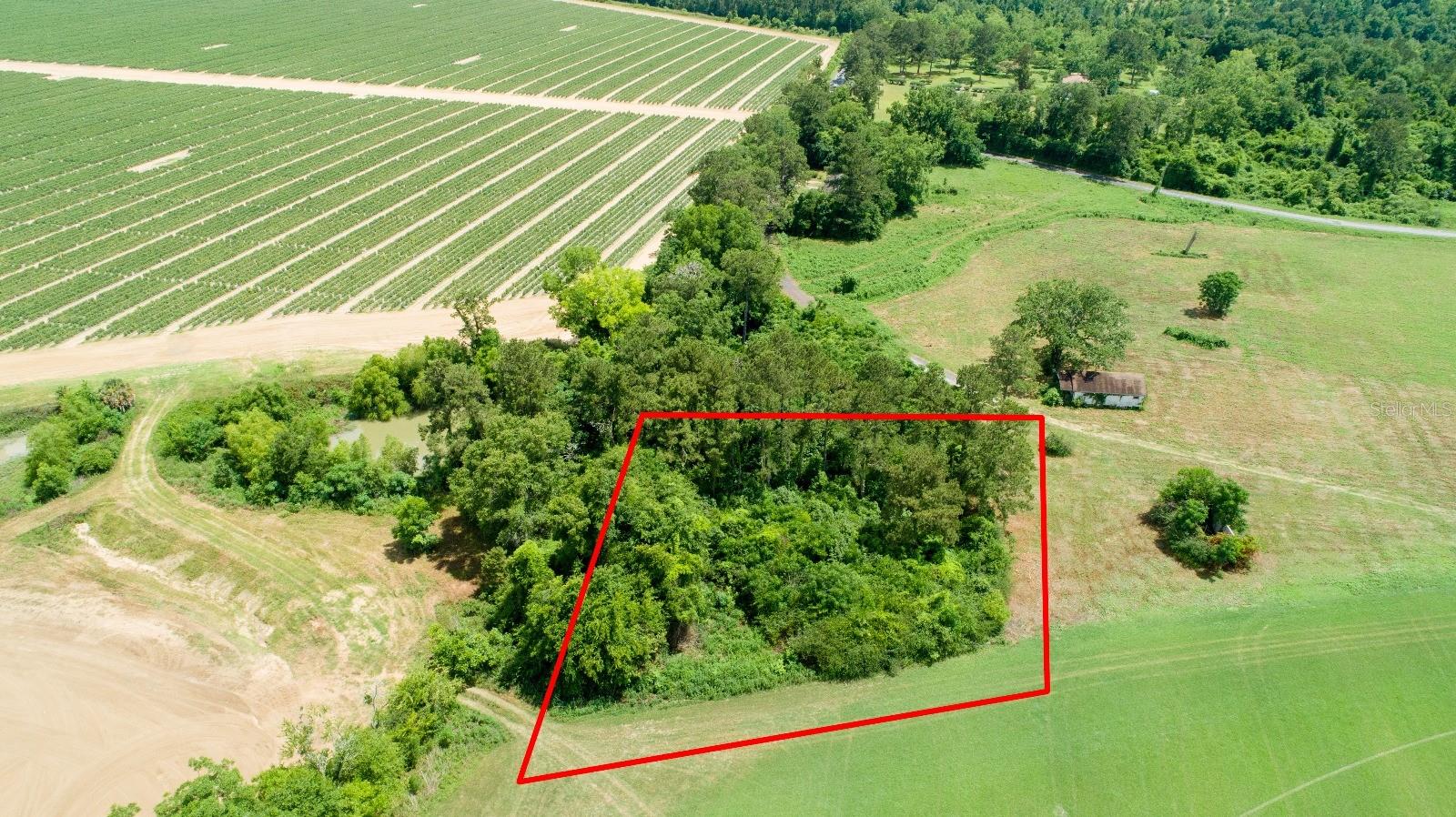 Details for Tyler Sanders Road, QUINCY, FL 32352