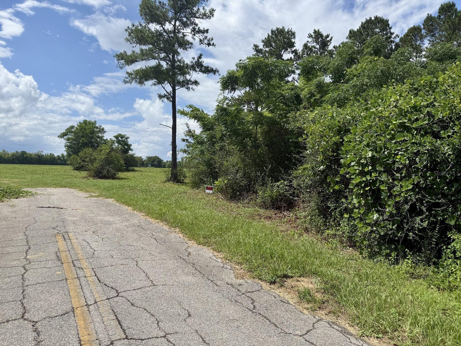 Image 12 of 12 For Tyler Sanders Road