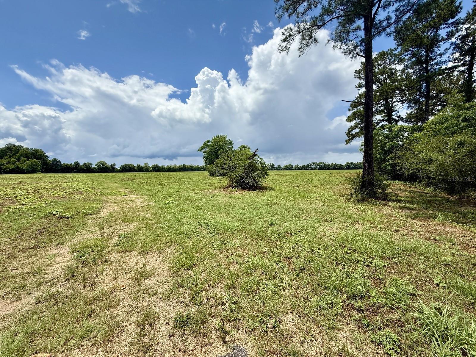 Image 3 of 12 For Tyler Sanders Road