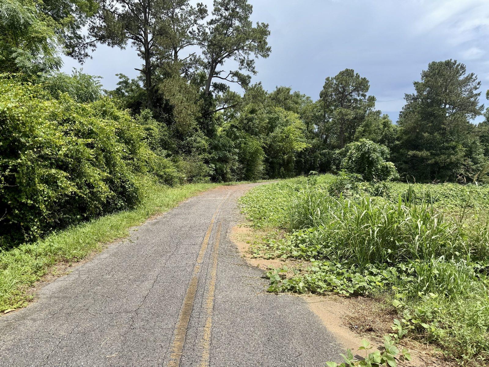 Image 7 of 12 For Tyler Sanders Road