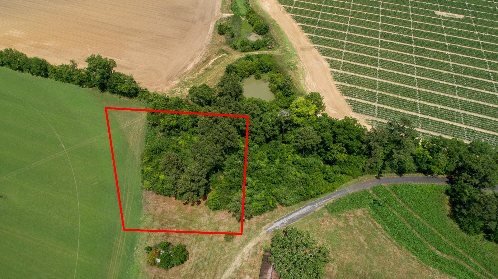 Image 8 of 12 For Tyler Sanders Road