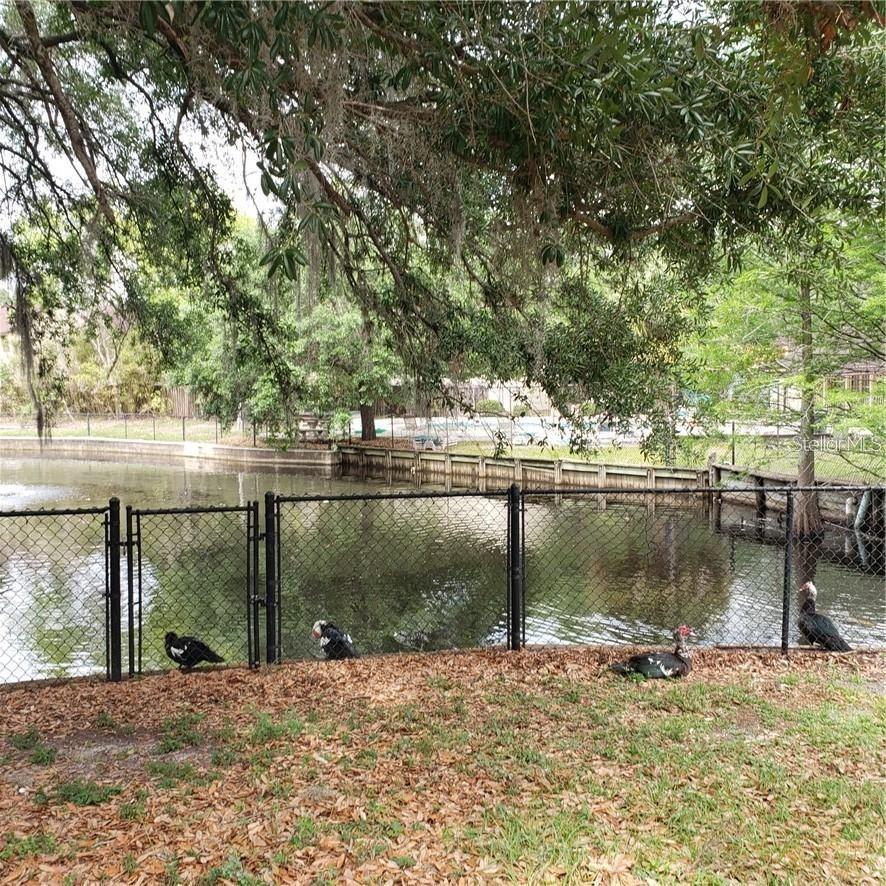 Image 13 of 14 For 5626 Ashley Oaks Drive 28