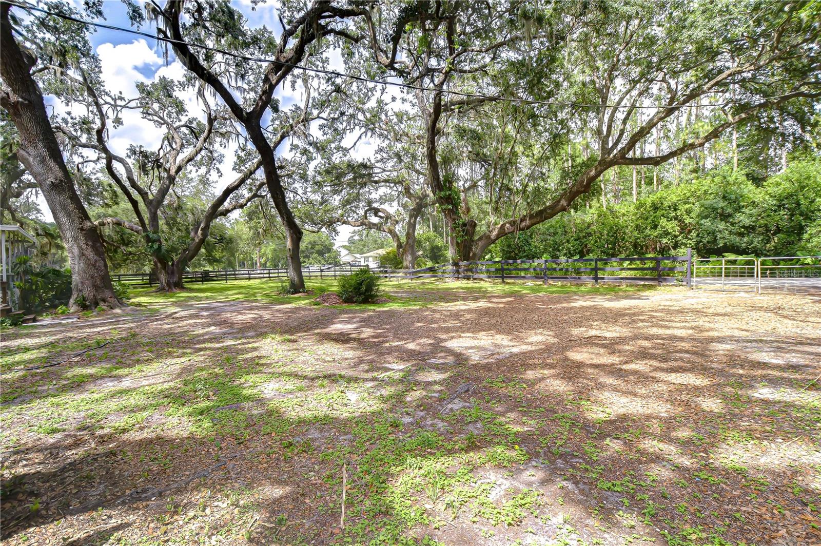 Image 11 of 64 For 3153 Tina Marie Drive