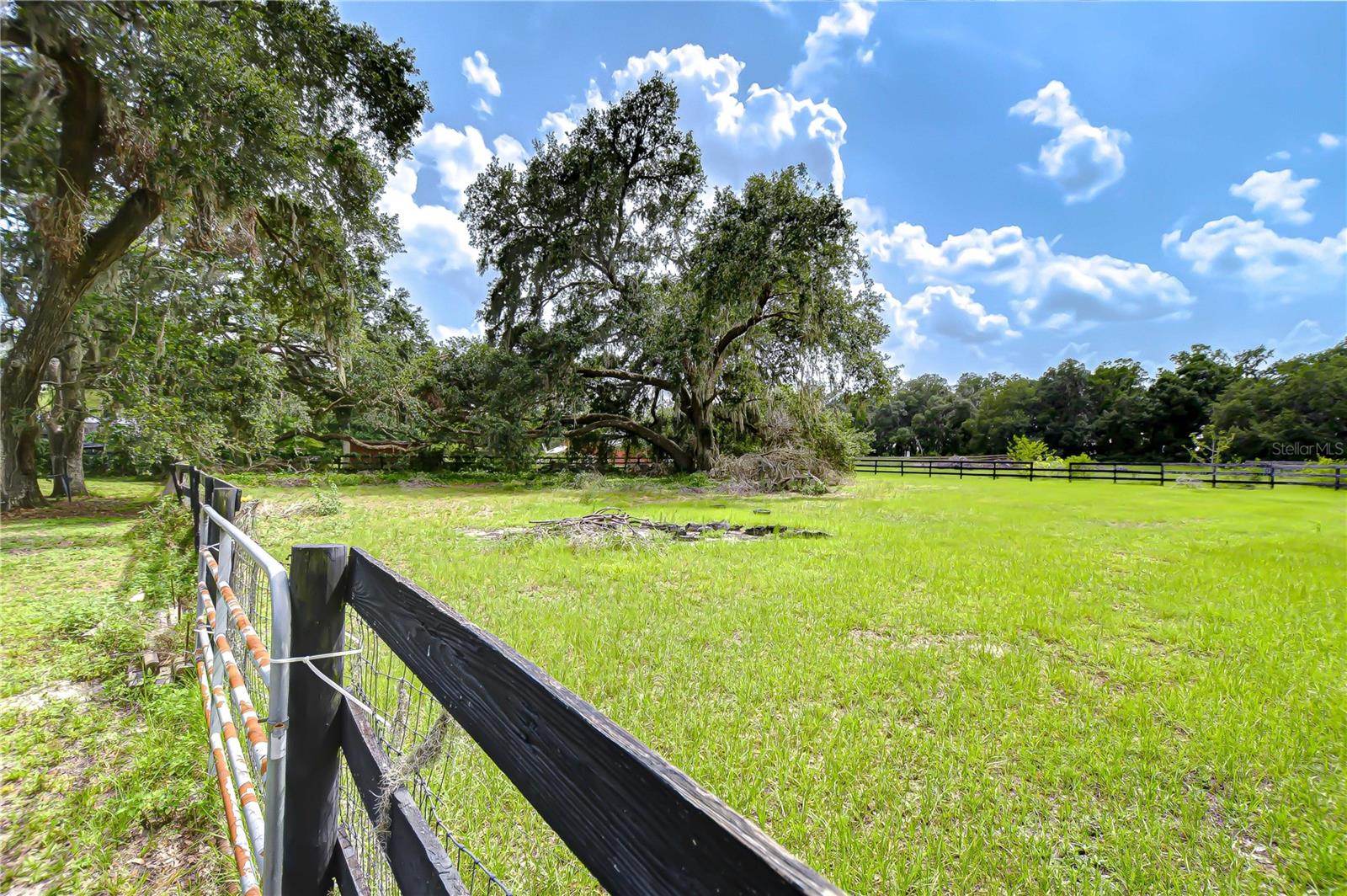 Image 16 of 64 For 3153 Tina Marie Drive
