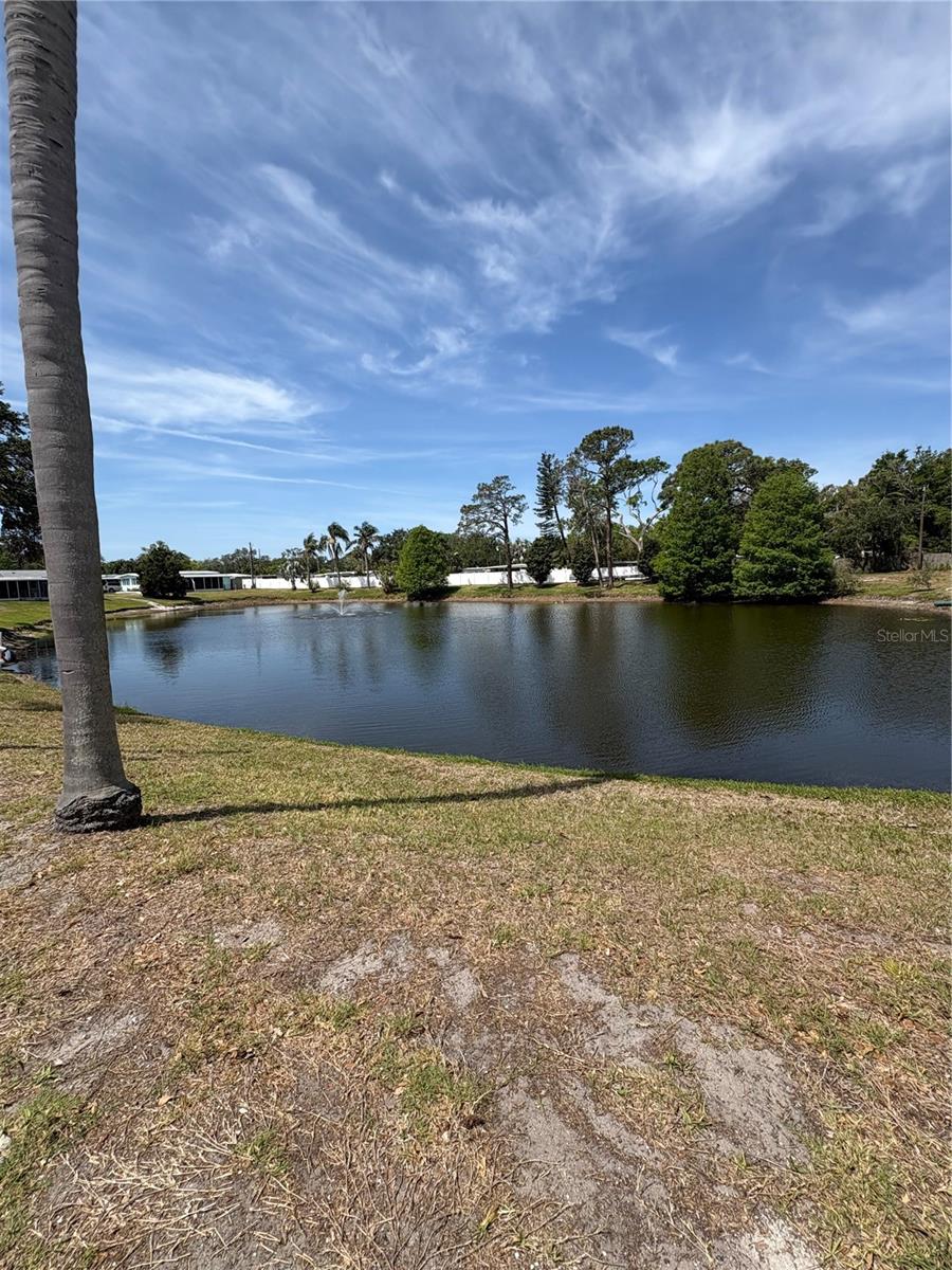 Image 30 of 41 For 11144 101st Way 143