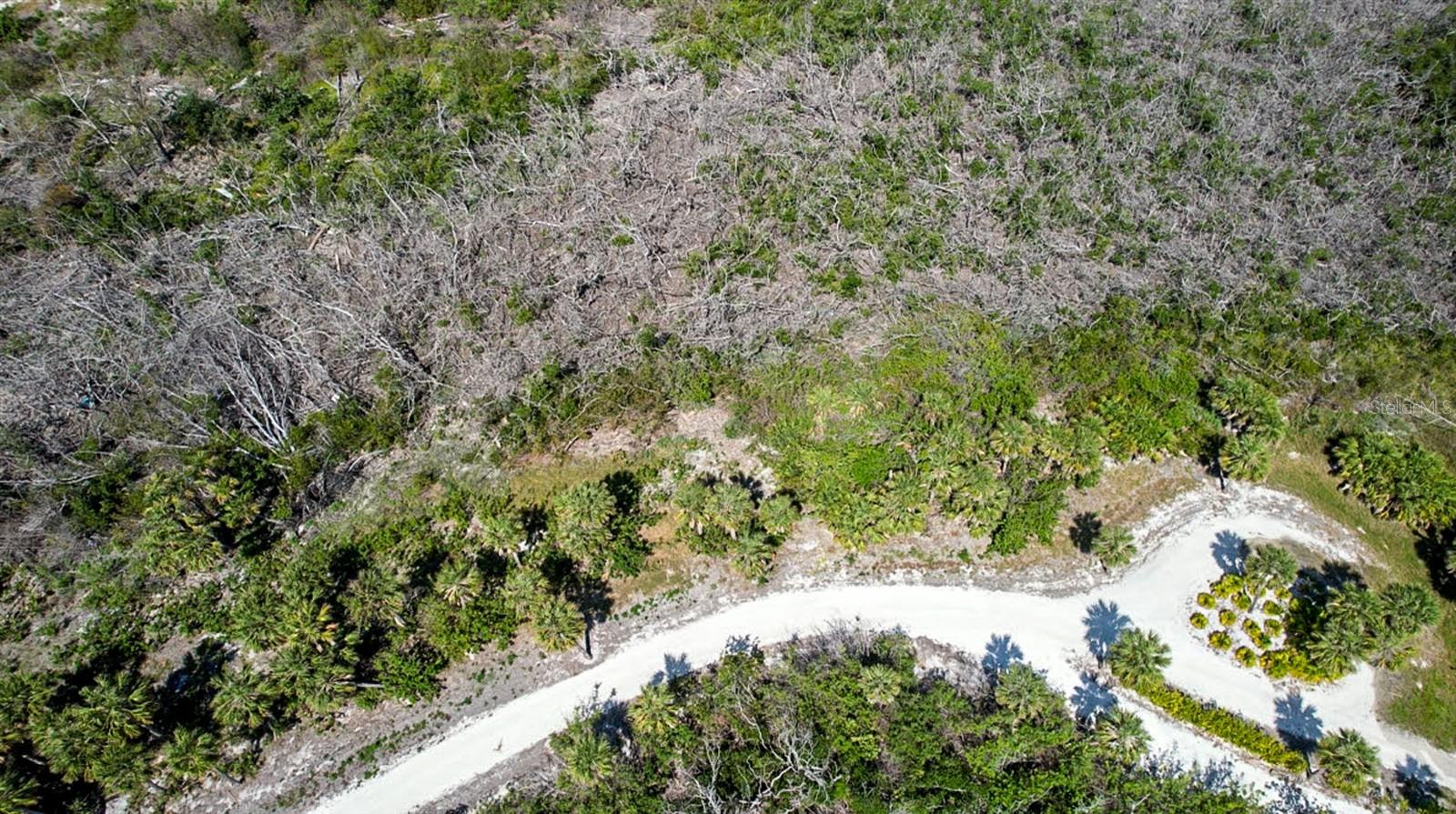 Image 3 of 19 For 6030 Sabal Palm Drive