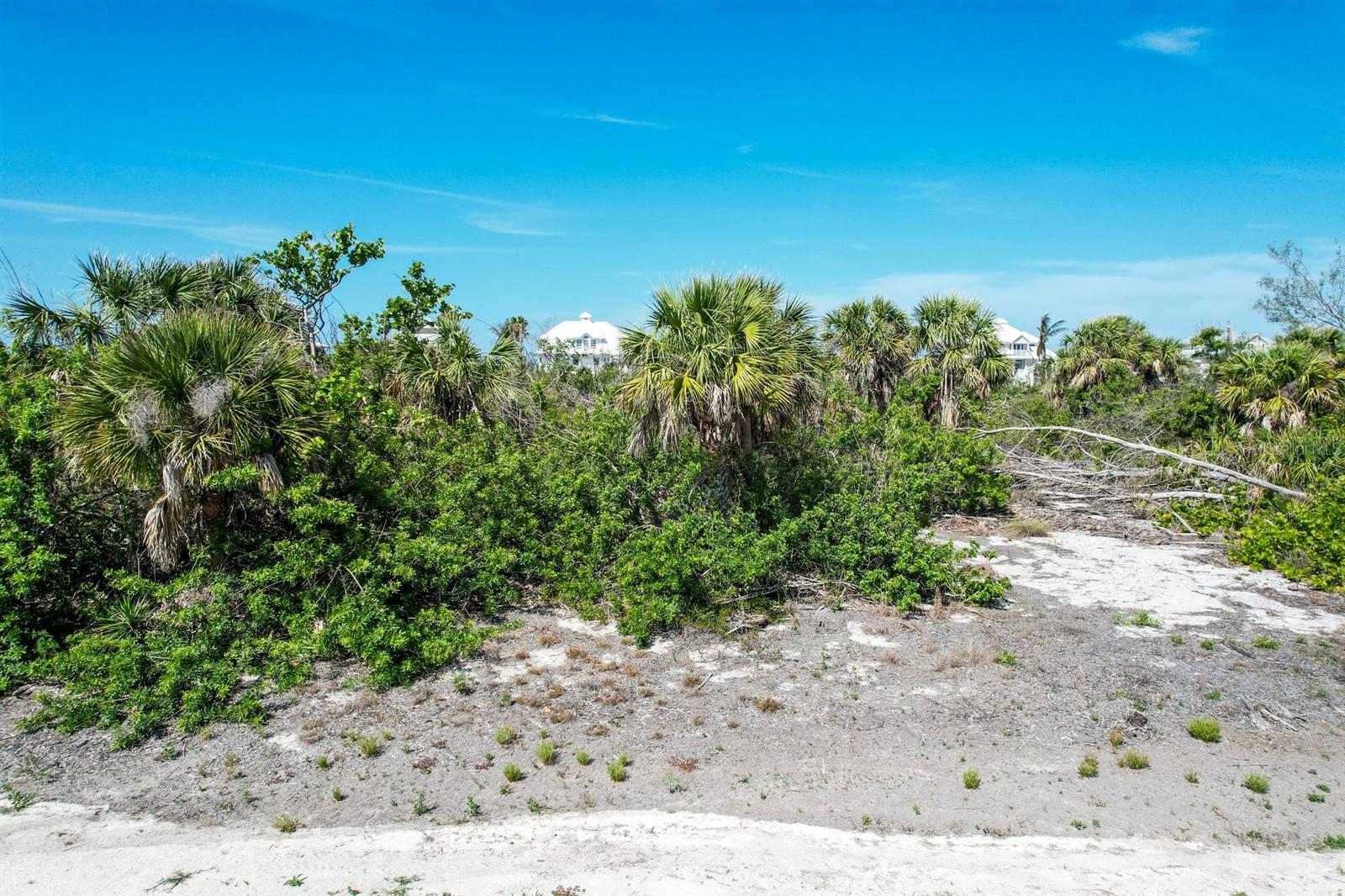 Image 5 of 19 For 6030 Sabal Palm Drive