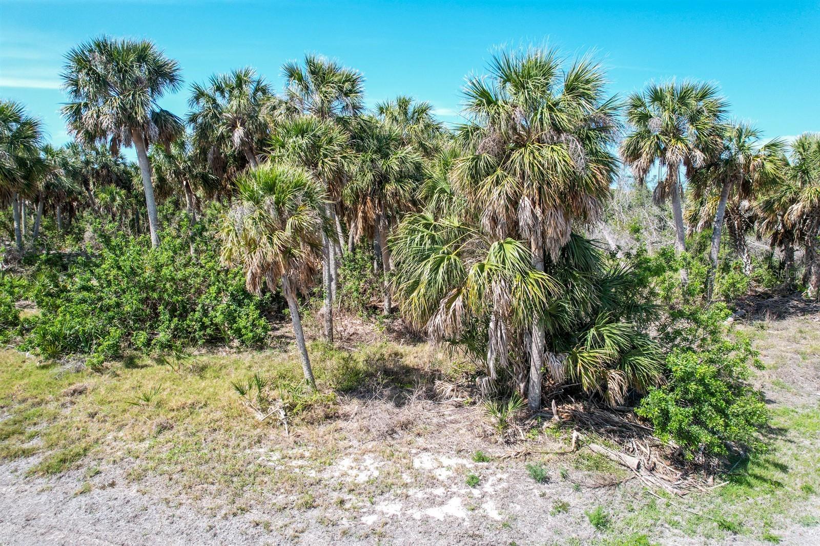 Image 7 of 19 For 6030 Sabal Palm Drive