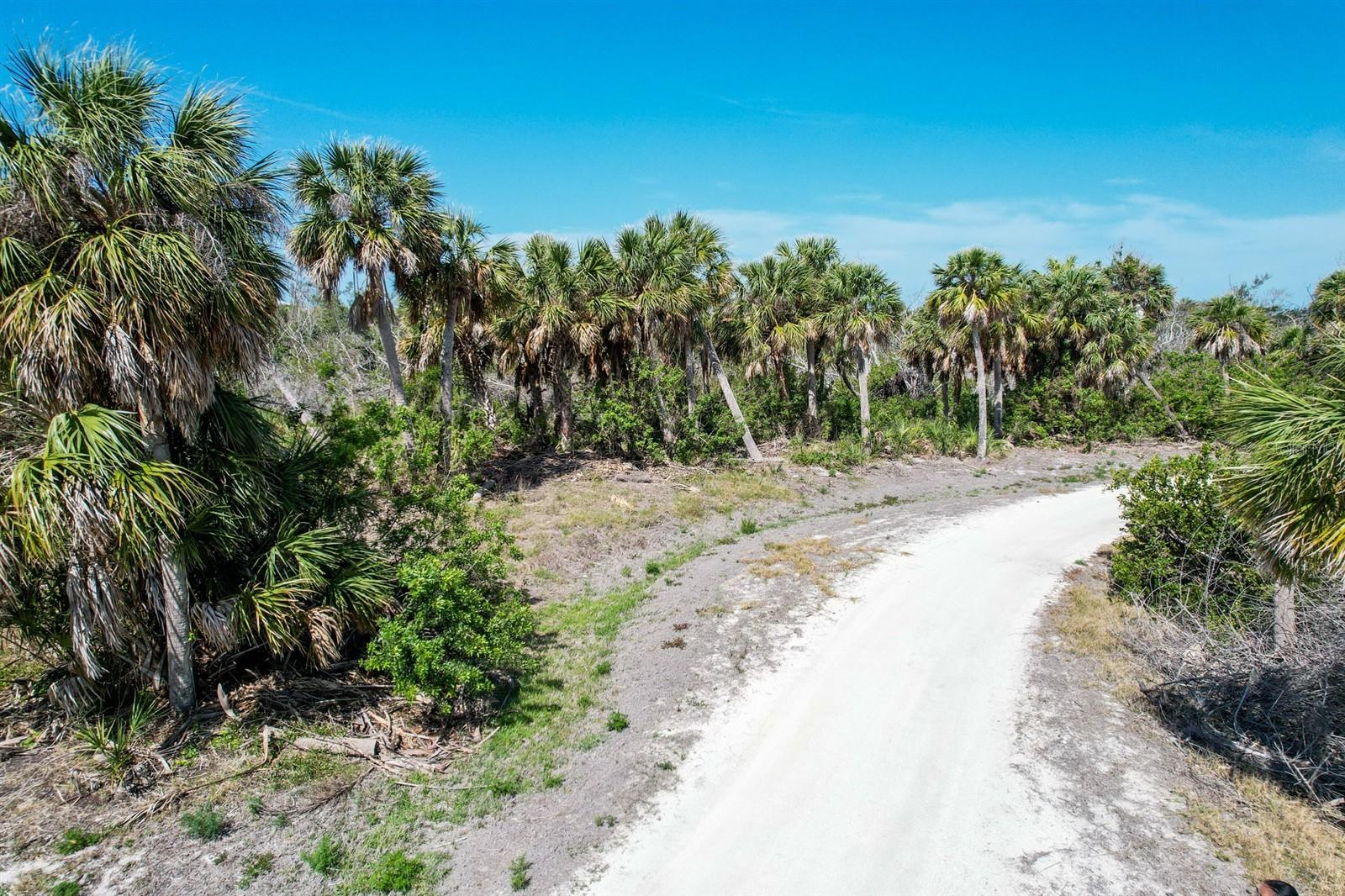 Image 8 of 19 For 6030 Sabal Palm Drive