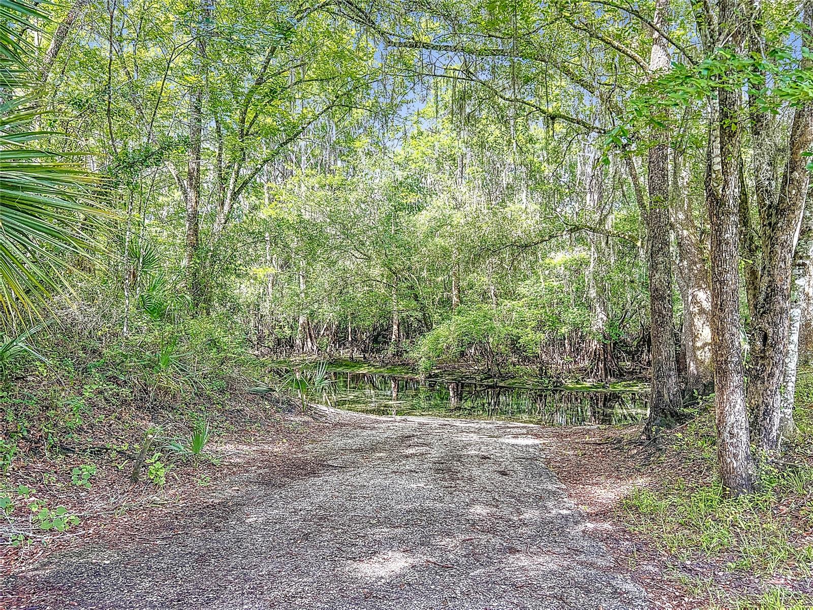 Image 56 of 62 For 9240 Carolina Way