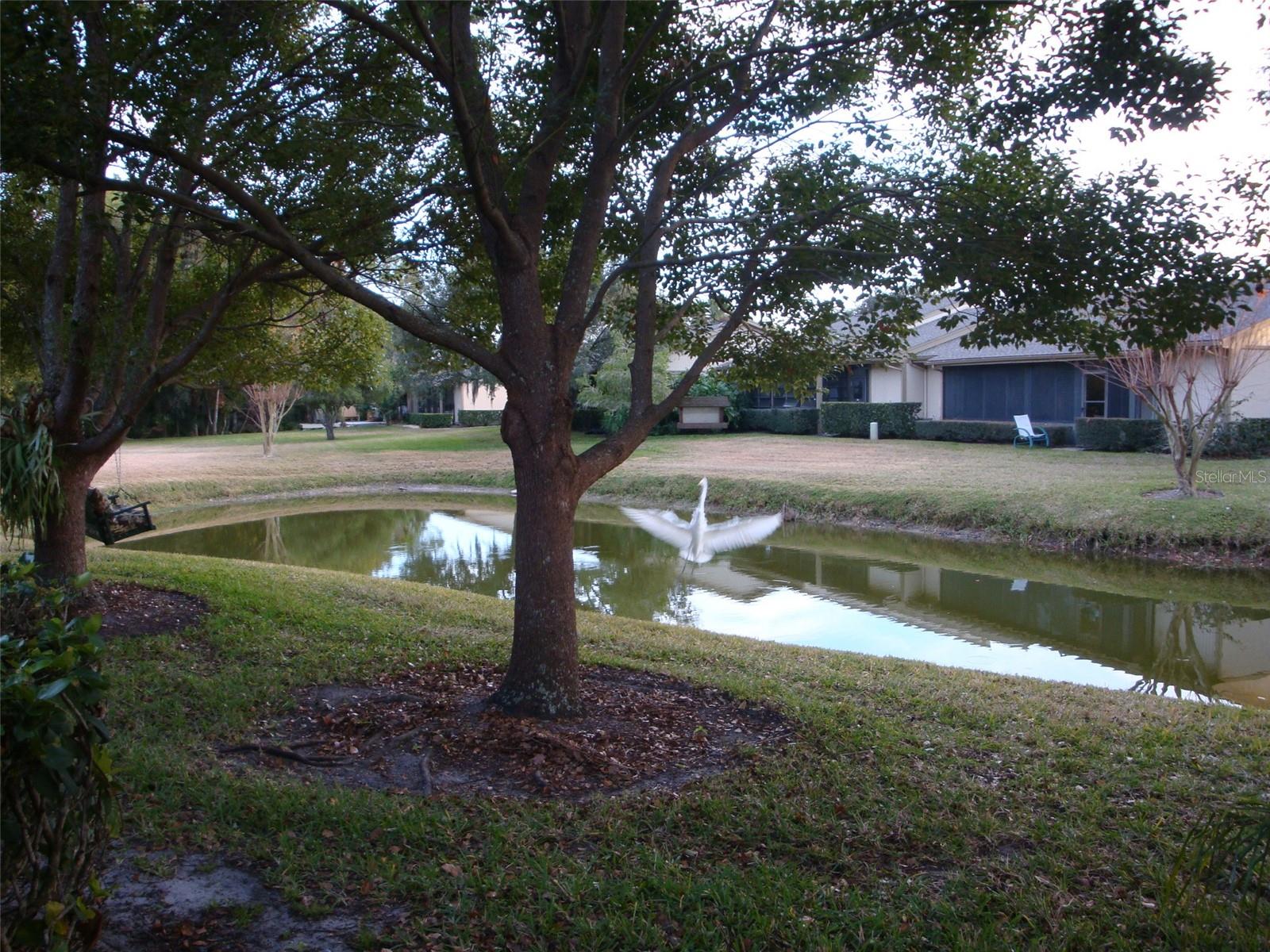 Image 24 of 24 For 70 Joanne Place 70