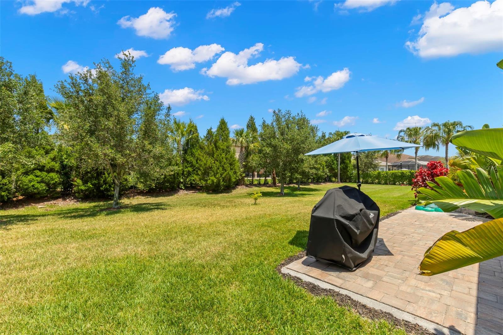 Image 18 of 73 For 31275 Spruceberry Court