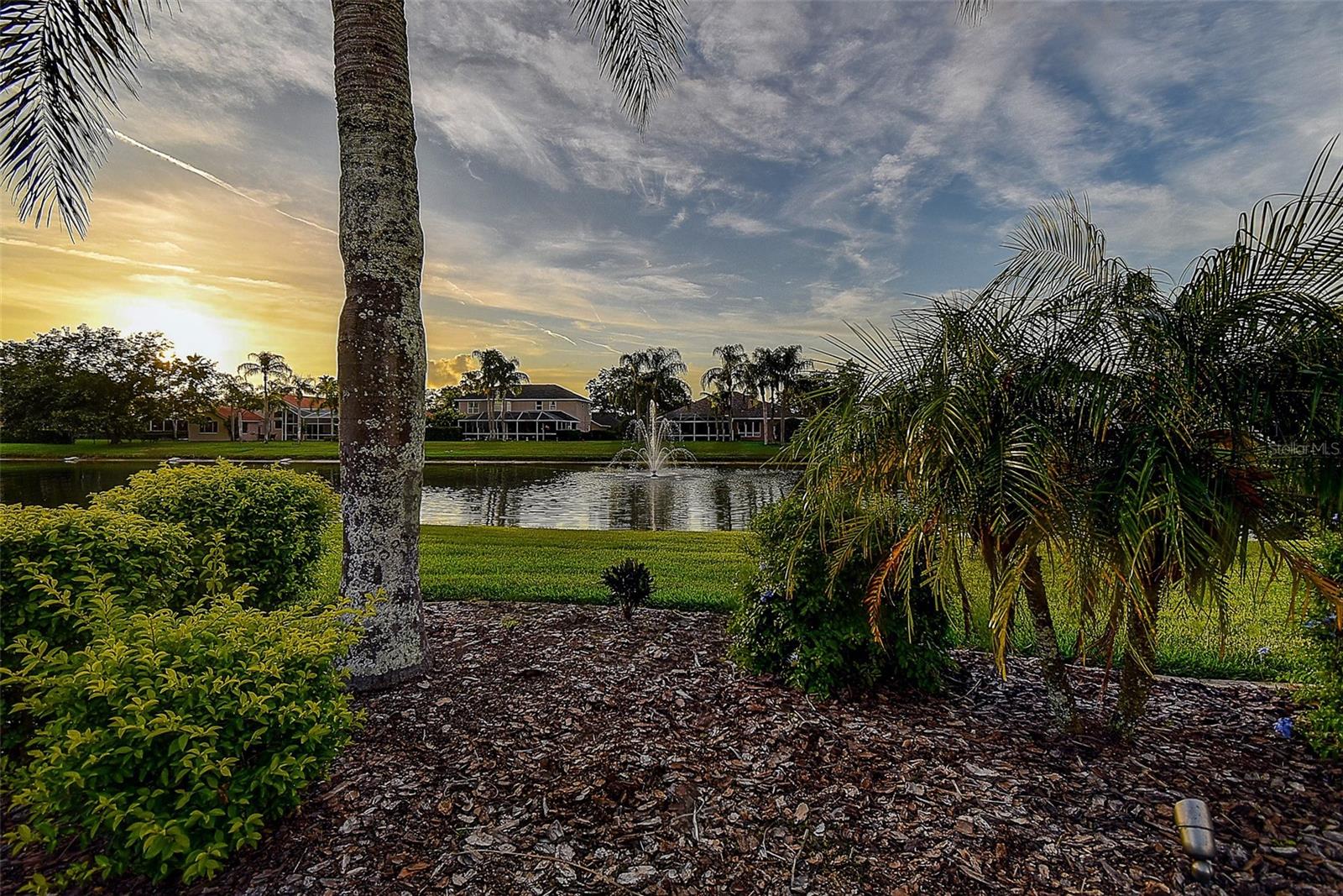 Image 65 of 100 For 3895 Mimosa Place