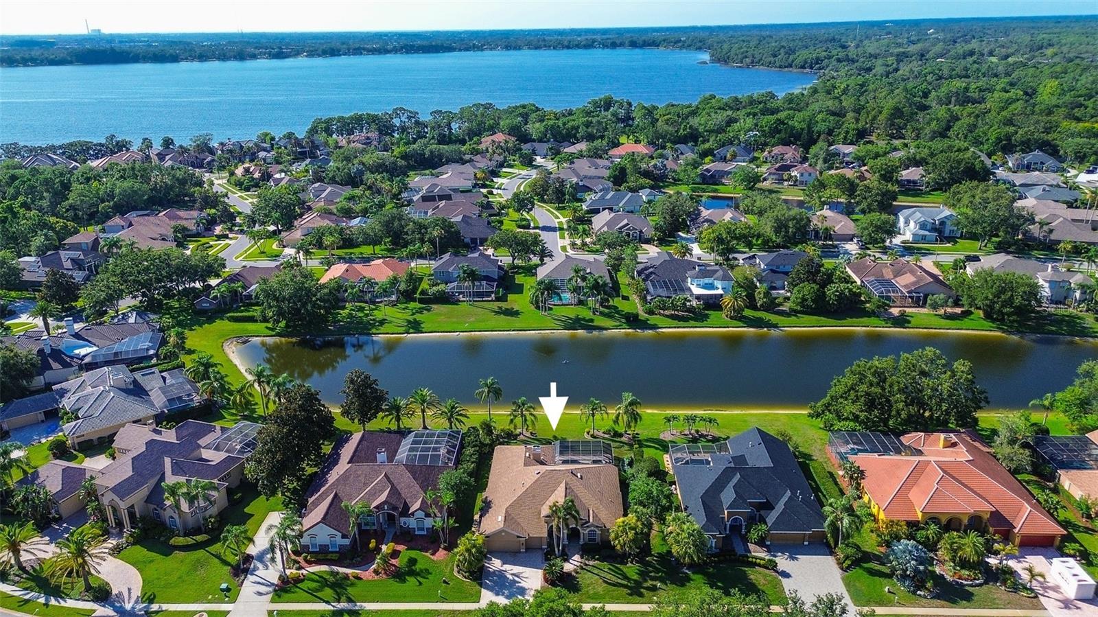 Image 72 of 100 For 3895 Mimosa Place