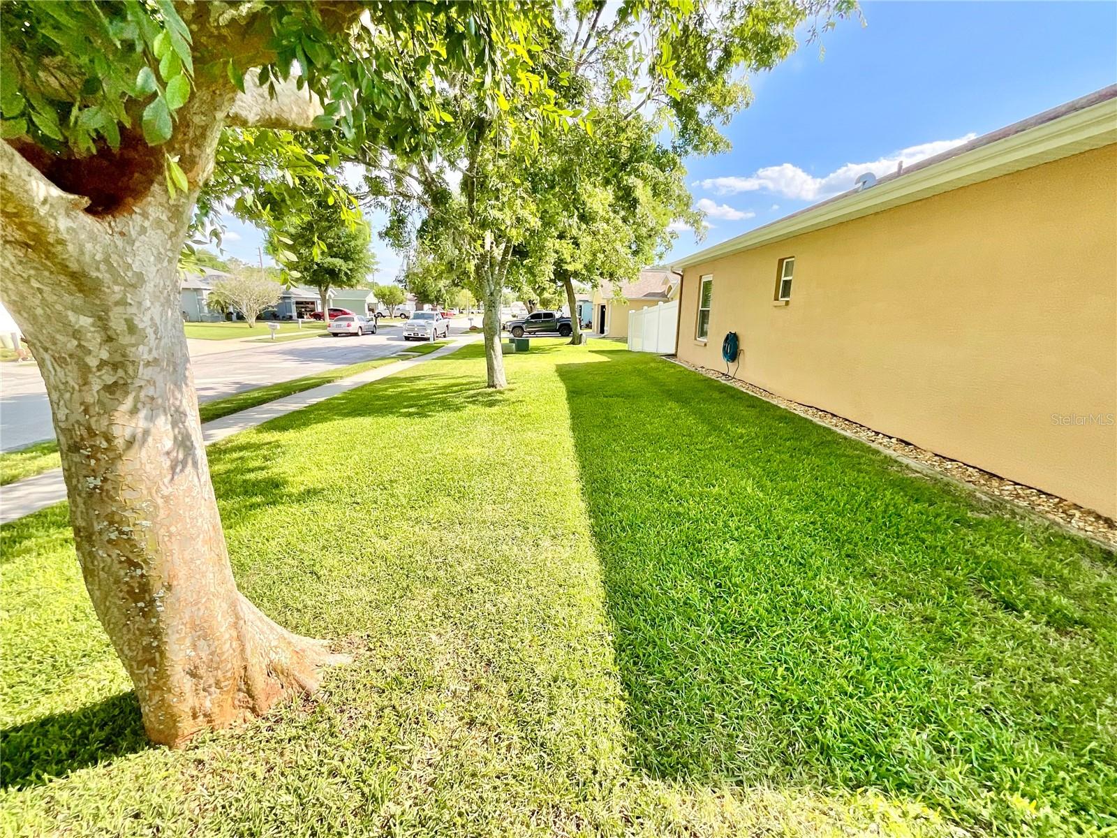 Listing photo id 16 for 6930 Bandura Avenue
