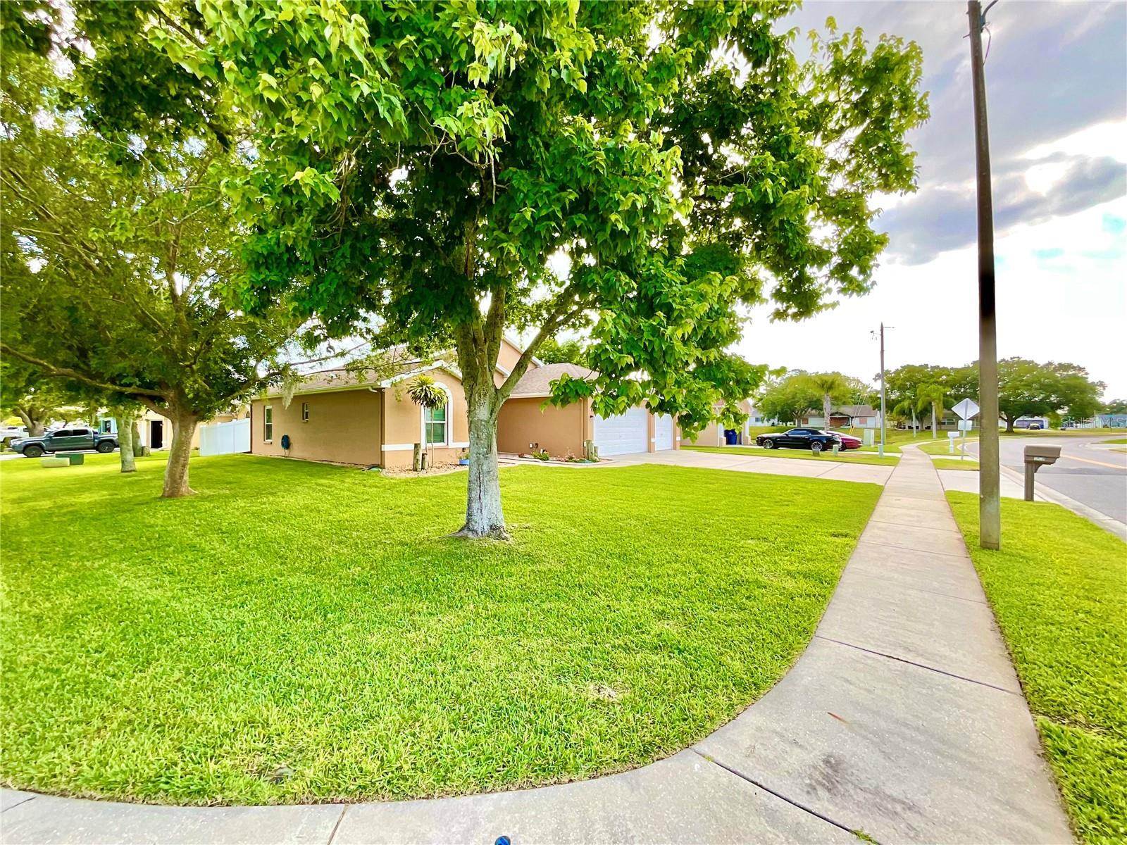 Listing photo id 30 for 6930 Bandura Avenue