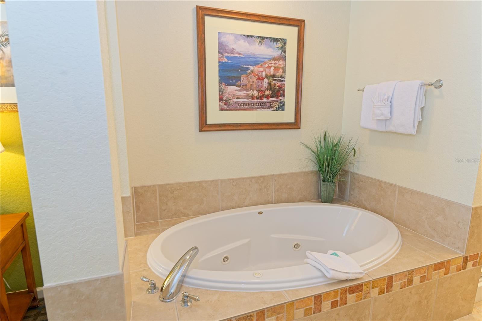 Image 12 of 40 For 8125 Resort Village Drive 5902