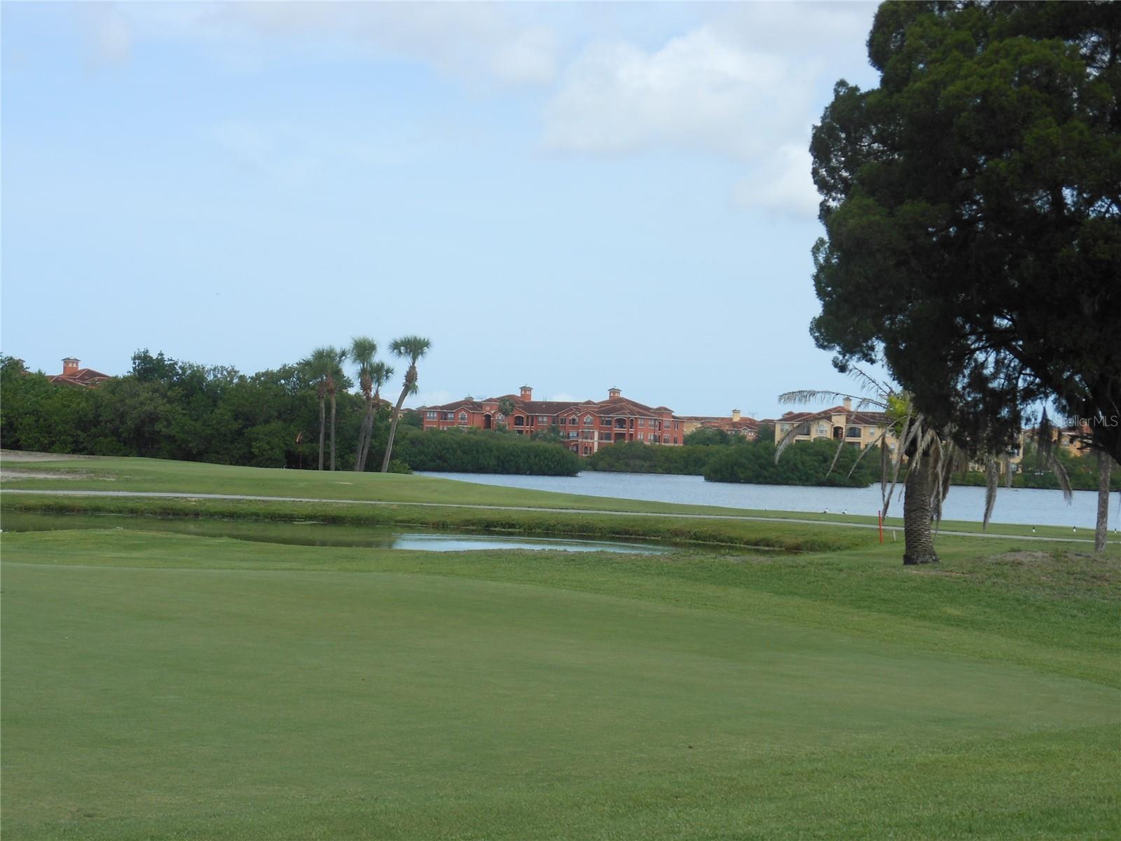 Image 49 of 49 For 2621 Cove Cay Drive 302