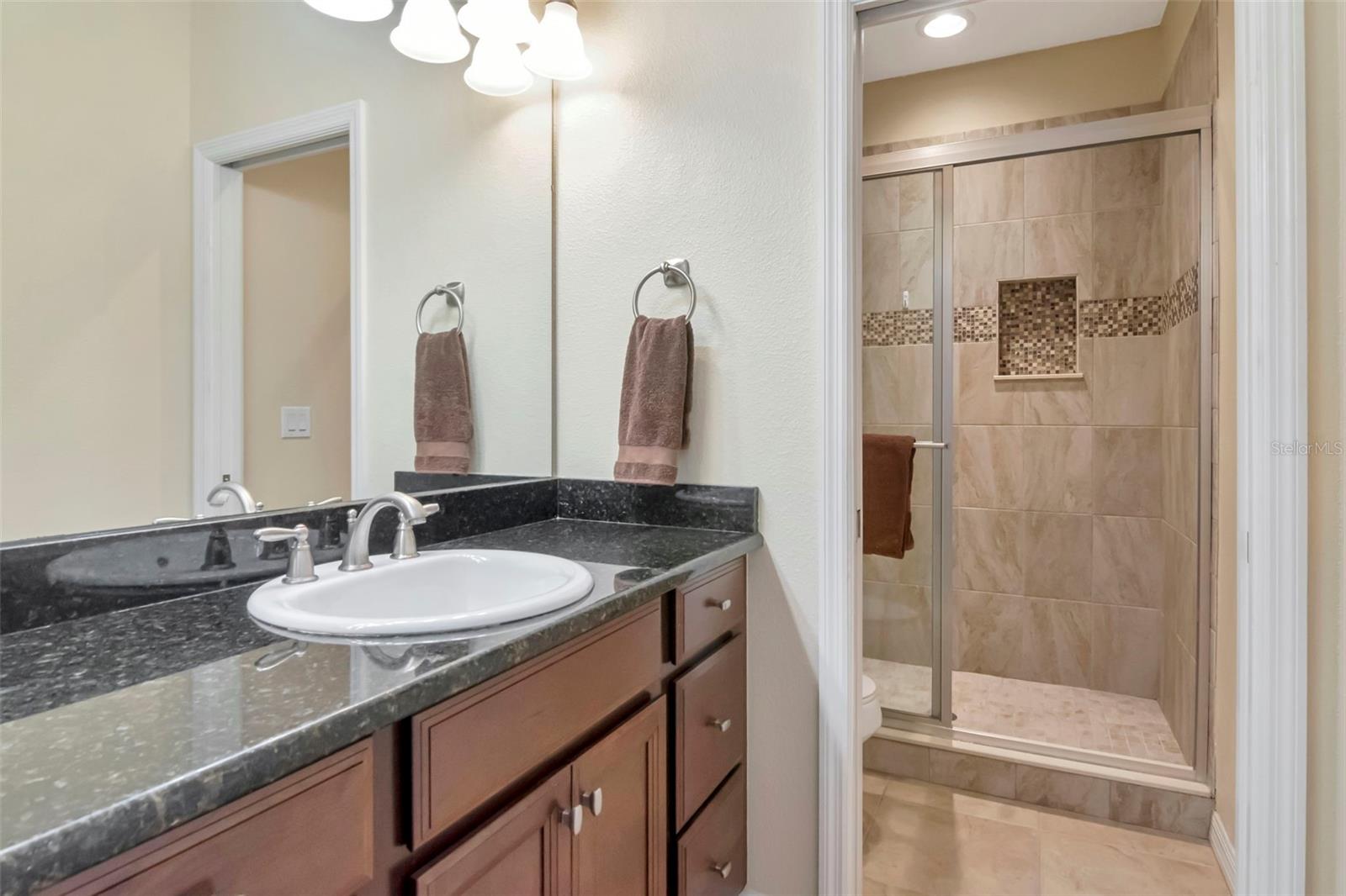Image 39 of 61 For 26972 Evergreen Chase Drive