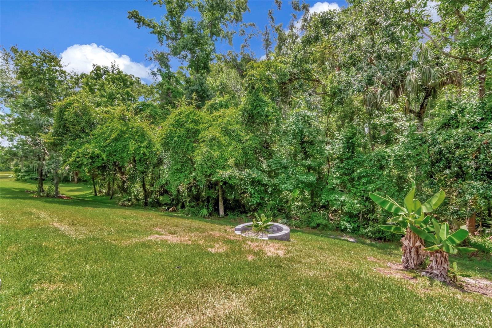 Image 55 of 61 For 26972 Evergreen Chase Drive