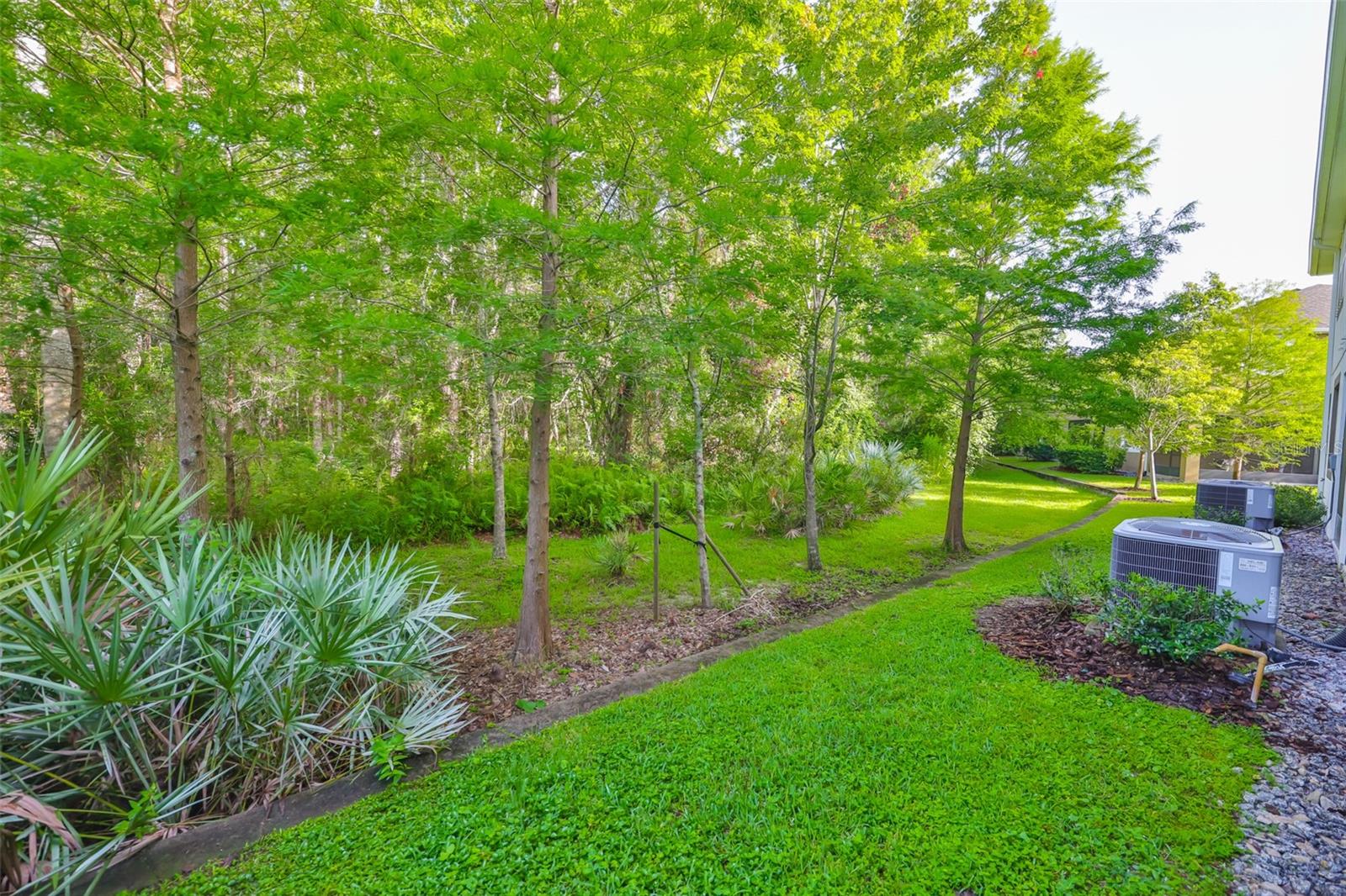 Image 40 of 42 For 17834 Althea Blue Place
