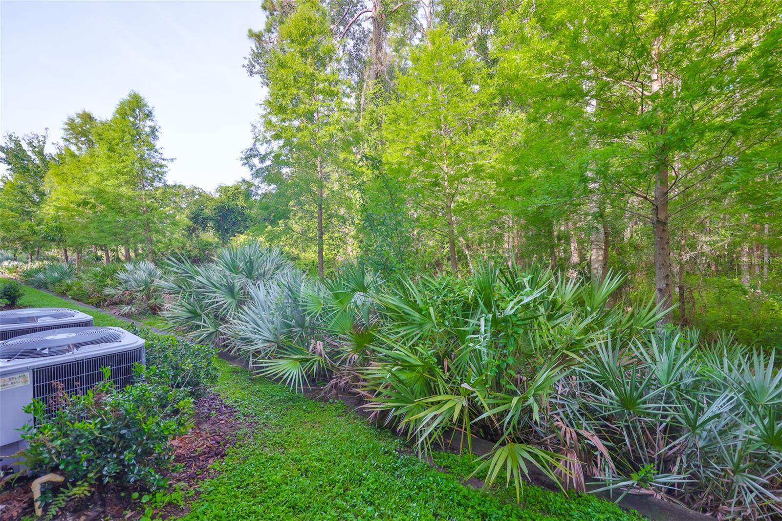 Image 41 of 42 For 17834 Althea Blue Place