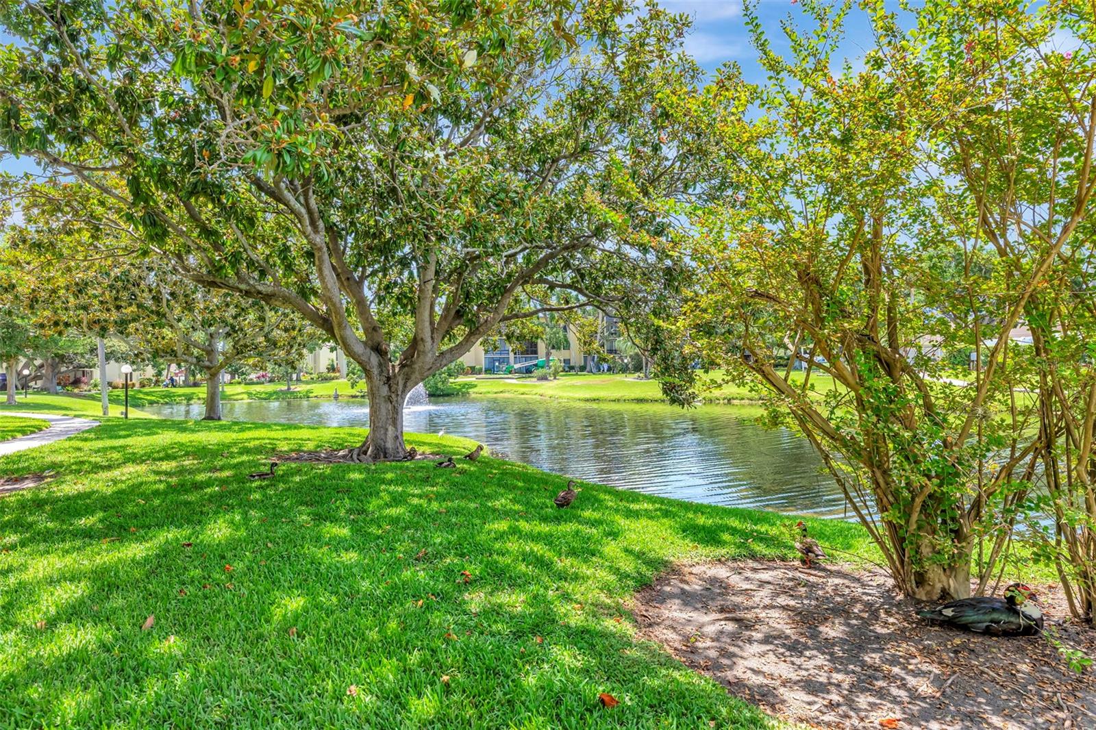 Image 32 of 98 For 14130 Rosemary Lane 3202