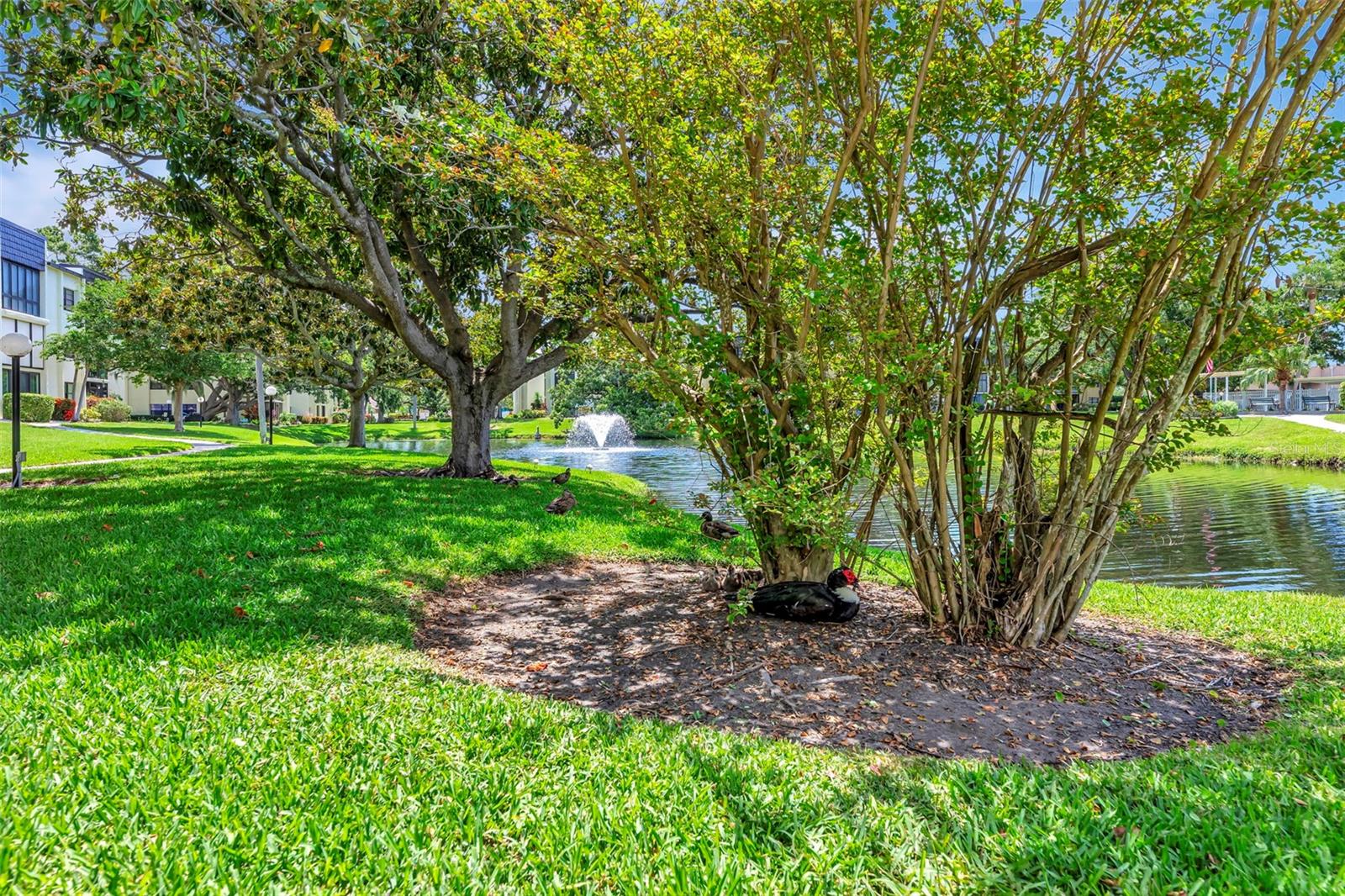 Image 33 of 98 For 14130 Rosemary Lane 3202