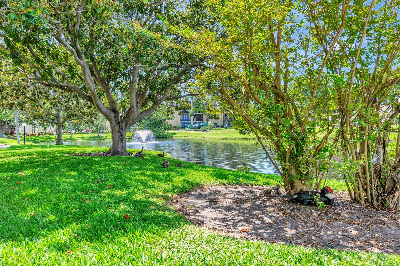 Image 35 of 98 For 14130 Rosemary Lane 3202