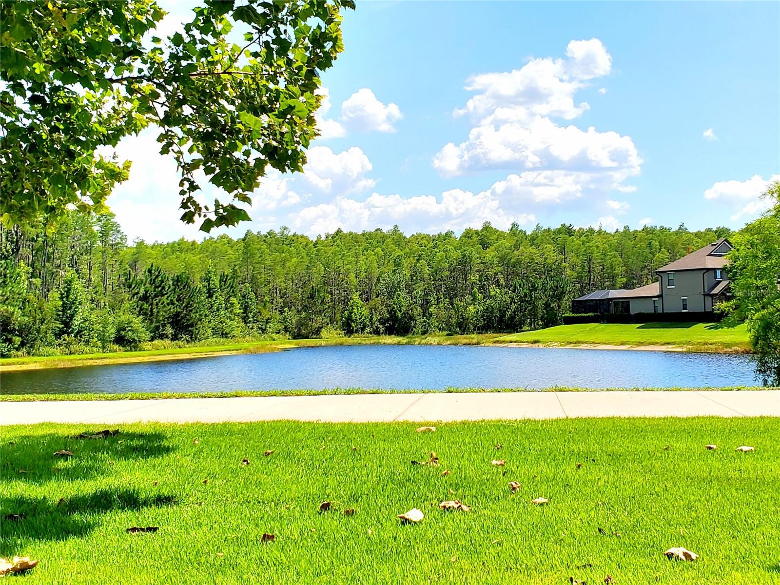 Listing photo id 62 for 12862 Rangeland Boulevard
