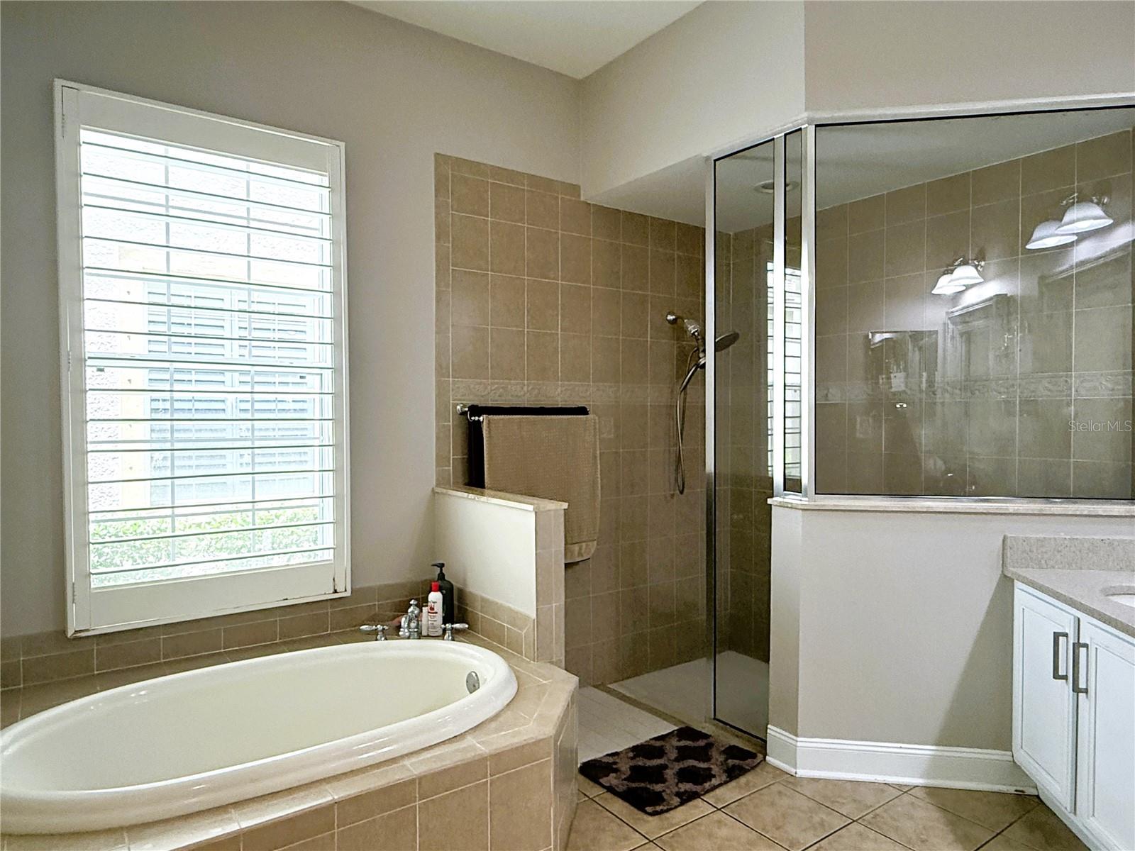 Image 18 of 35 For 14620 Chatsworth Manor Circle