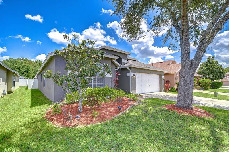 Listing photo id 0 for 31349 Philmar Lane